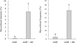 Image result for Tetraria