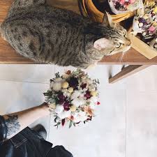 pin by bev c on flowers allbirds instagram flowers