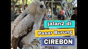 Airtel digital tv provides 500+ channels with superlative quality and sound clarity. Kanoman Market Cirebon Destimap Destinations On Map