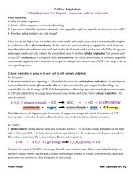 We did not find results for: Cellular Respiration In Animals In Plants