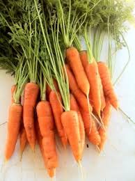 Yes You Can Grow A Garden Of Vegetables In Florida Here S How Vegetables Growing Carrots Palmers Garden Centre