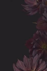 Android 12 Wall In 2021 Original Iphone Wallpaper Android 12 Stock Wallpapers