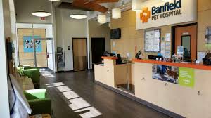 At banfield pet hospital, we're redefining the future of pet care to make a better world for pets. Kendall Market Square Miami Fl Vet Banfield Pet Hospital