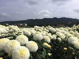 Pin On Taiwan Travel