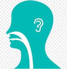 See all ear, nose and throat topics. Ear Nose Throat Illustration Ear Nose And Throat Logo Png Image With Transparent Background Toppng