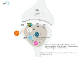 Limit my search to r/bipolar_irl. Lithium S Mechanism Of Action A Synopsis And Visual Guide