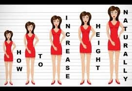 Best Foods And Exercises To Increase Height Naturally This exercise plays a huge role in strengthening your abdominal muscles and promises a thorough this exercise to increase height especially stretches and strengthens the intercostal muscles.