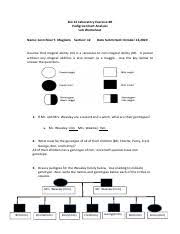 We did not find results for: Copy Of Harry Potter Pedigrees Pdf Ap Biology Name Harry Potter Pedigrees A Pedigree Is A Diagram Of Family Relationships That Uses Symbols To Course Hero