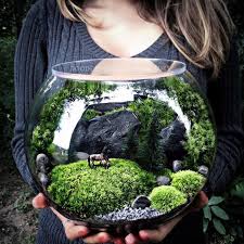 Large Bowl Terrarium With Invisible Lid And Horses In The Pasture Scene Terrarium Bowls Miniature Garden Terrarium