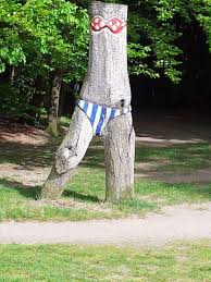 Maybe you would like to learn more about one of these? Witze Zum Thema Pflege Pflegenaut