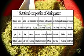 Moringa News Moringa Blogspot Moringa Trees Information