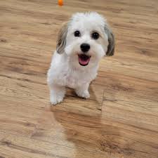 Atlanta Braves player with family at spring training