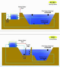 Berikut ini adalah morfologi ikan koi, yaitu: Filter Kolam Ikan Koi Filter Drum Putar Peternakan Ikan Buy Kolam Ikan Koi Bio Filter Vakum Rotary Drum Filter Ikan Bio Filter Product On Alibaba Com