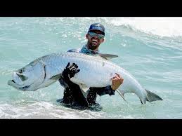 Monster Fish Caught From The Beach