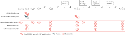 Second ebola outbreak confirmed in drc after four people die. Safety Reactogenicity And Immunogenicity Of A Chimpanzee Adenovirus Vectored Ebola Vaccine In Adults In Africa A Randomised Observer Blind Placebo Controlled Phase 2 Trial The Lancet Infectious Diseases