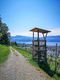 panoramaweg von stafa nach feldbach wandern schweiz ausflug wanderung