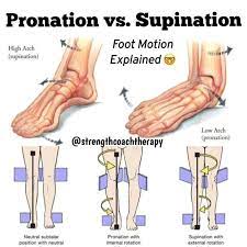 Thomas Nummedal On Instagram Pronation And Supination By Strengthcoachtherapy Are Flat Feet A Problem Not Always So Pronation Flat Feet Feet