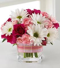 Maybe you would like to learn more about one of these? Florist Syracuse Ny Florist Central Ny Flowers Liverpool Ny Florist Liverpool Ny Flower Delivery Syracuse Central Ny Bridal Floral Arrangements Liverpool Ny Wedding Flowers Liverpool Ny Flower Gifts Liverpool Ny Fresh Flowers Delivered Liverpool Ny