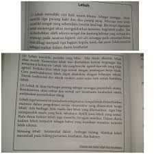 Buku Paket Bahasa Indonesia Halaman 149 Kelas 7 Semester 1 Kurikulum 2013 Carilah Kalimat Yang Brainly Co Id