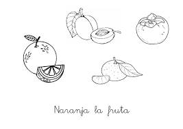 Alimentos para colorear, dibujos en blanco y negro, frutas para colorear, material didactico para colorear, para imprimir. Naranja Dibujos Para Colorear En Naranja