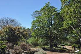 Image result for Breonadia