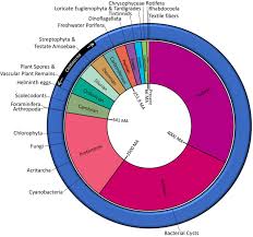 We did not find results for: Why A New Volume On Non Pollen Palynomorphs Geological Society London Special Publications