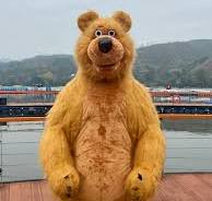 Inflatable Bear Suit Big Teddy Costume Giant Teddy Teddy Bear Suits For  Adults Giant Full Body Inflatable