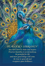 Excited To Share This Item From My Etsy Shop Oracle Deck Spirit Of The Animals Oracle Cards Box Set Jod Animal Spirit Cards Spirit Animal Raven Spirit Animal