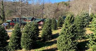 Check spelling or type a new query. Christmas Tree Farms Near Greenville Kidding Around Greenville