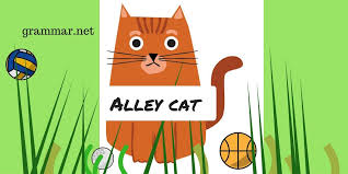 Animal Idioms Cats Today We Re Going To Start The New Set Of Animal Idioms If You Don T Mind I Ll Begin With Cats Being A Cat Idioms Cat Idioms Adjectives