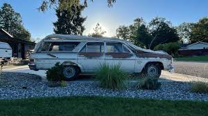 Image result for Frost White 1965 AMC