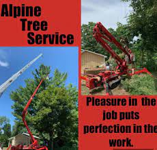 Alpine Tree Service Home Facebook
