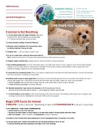 Training And Resources For Animal Disaster Rescuers Kinship