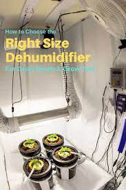 Sizing Your Grow Room Dehumidifier Correctly To Keep Your Relative Humidity In Check Here How To Determine The Ri Grow Room Grow Tent Front Yard Garden Design