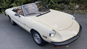 Image result for Light Rattan 1982 Alfa-Romeo