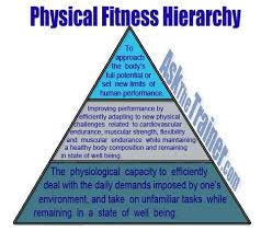 Definition Of Physical Fitness Why Its Important To Be Physcially Fit Physical Fitness Health Essay Muscular Endurance