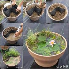 How to make a small container water garden. Diy Mini Pond From Old Tire