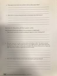 In common usage, the arm extends through the hand. Answered Section 3 Trunk Muscles Study The Bartleby