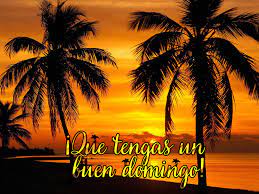 Check spelling or type a new query. M Feliz Domingo