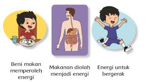 Pembelajaran 3 subtema 2 dalam tema 6 kelas 3 terdapat pada halaman 72. Kunci Jawaban Kelas 3 Tema 6 Halaman 55 56 57 58 59 60 61 62 Perubahan Energi Subtema 2 Pembelajaran 1 Buku Tematik Siswa Sd Mi Topiktrend