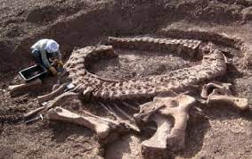 Unos restos en el Pirineo demuestran la extinción súbita de los dinosaurios  | El Informador