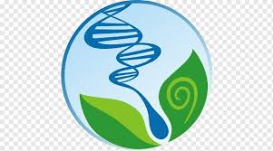 We have 2 free bundesrat vector logos, logo templates and icons. Biologie Bundesrat Symbol Wissenschaft Biologe Symbol Bereich Ball Biologia Png Pngwing