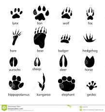 Set Different Animal Tracks Graphic Footprints White Background 46906758 Jpg 1300 1390 Animal Tracks Animal Footprints Prints
