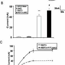 Loana dévoile sa nouvelle silhouette amincie et elle est canon ! Pdf Upregulation Of Peptide Transporters Pept1 And Pept2 By Janus Kinase Jak2