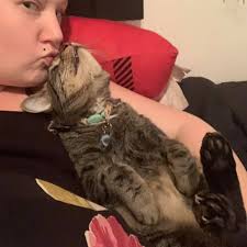 Co-navigator catto is very alert