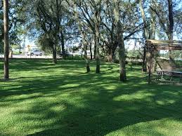 Quickly find dmv phone number, directions & appointments. Mowing Landscaping Services 2 Brother S Land Care And Pool Maintenance Landscaper In Zephyrhills Fl