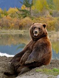 They are soaked with positive energy. 201 Smiling Animals That Will Instantly Make You Smile Bored Panda