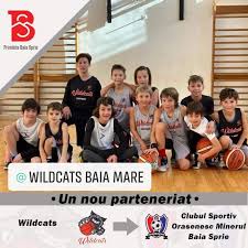 Inspectoratul de poliției a transmis un comunicat de presă prin care se explică anumite acțiuni ale unor oameni ai legii, acțiuni criticate de ziarul băimărean. Hai La Baschet In Baia Sprie Ziarul De Maramures