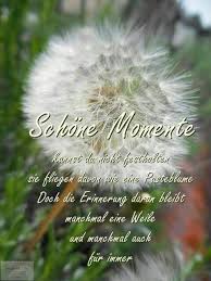 Pin Von Stina Auf Besondere Spruche Spruche Nachdenkliche Spruche Spruche Zitate
