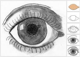 How To Draw An Eye Eye Drawing Art Handouts Eye Art